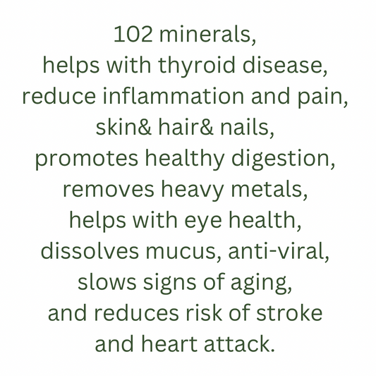 Bladderwrack SeaMoss