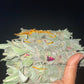 Electric Sage Bundles
