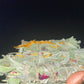 Electric Sage Bundles